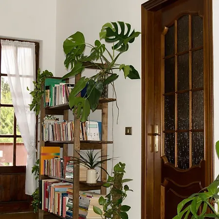 Bed & Breakfast Is Cogas Masainas