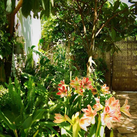 Bed and breakfast Is Cogas