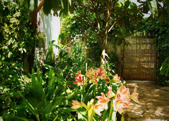 Bed & Breakfast Is Cogas