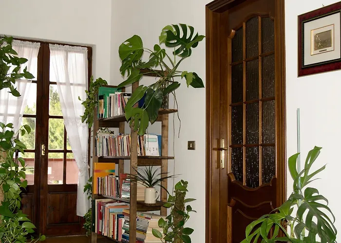 Bed & Breakfast Is Cogas Masainas